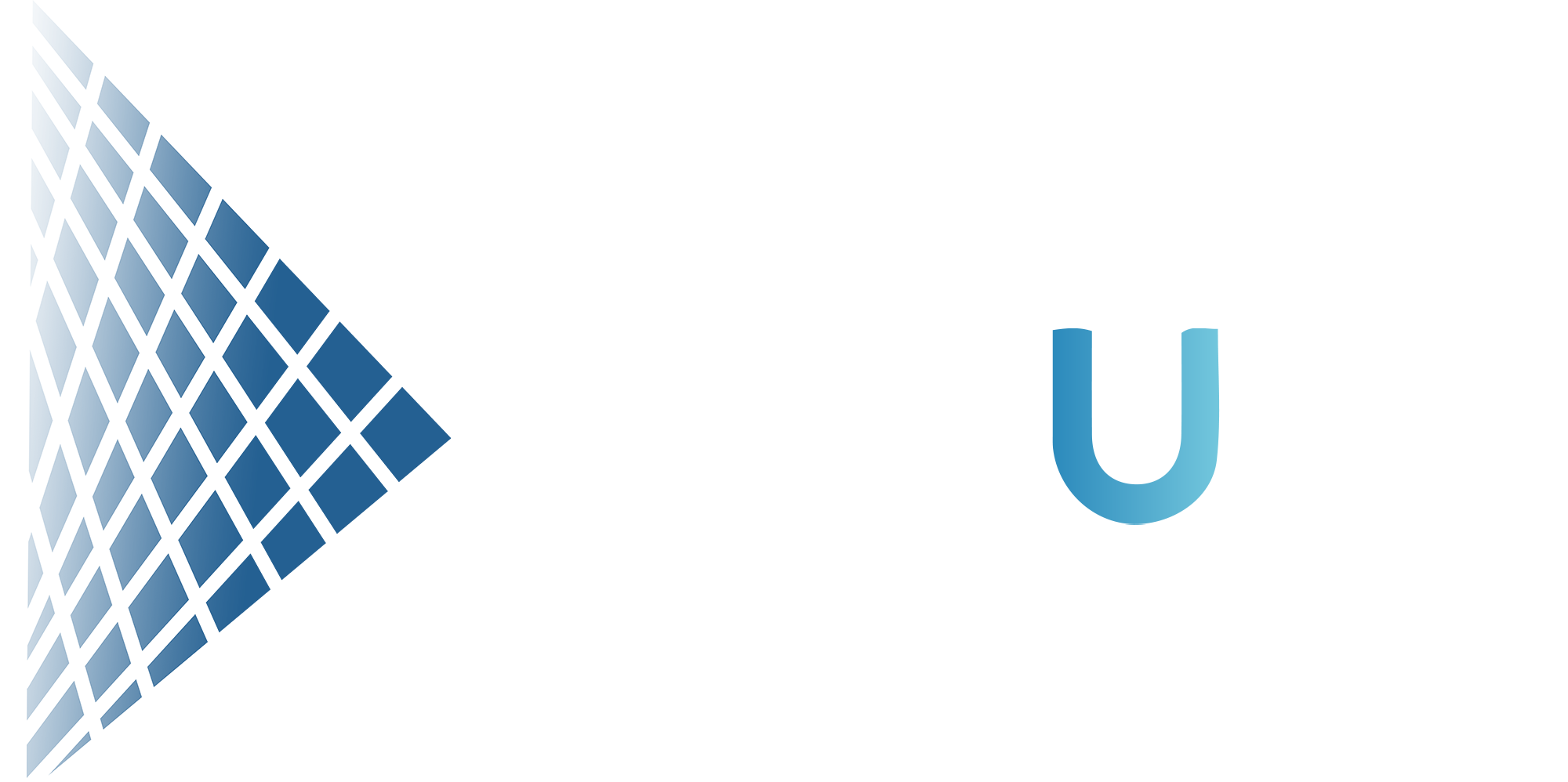 Logo White